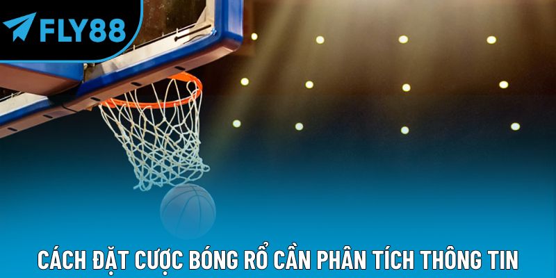 Cách đặt cược bóng rổ cần phân tích thông tin